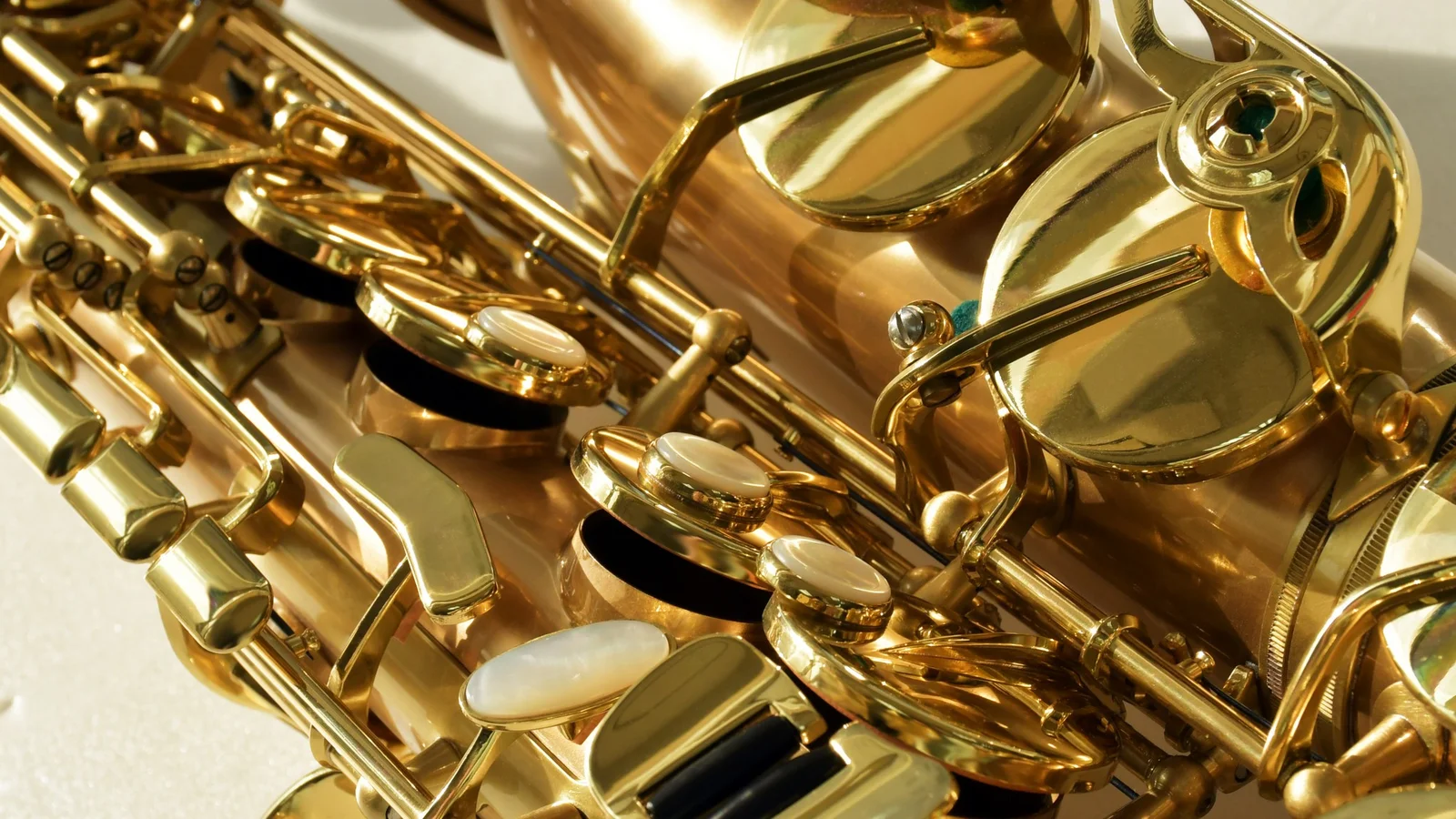 Le Bravo 200 Alto Saxophone  view