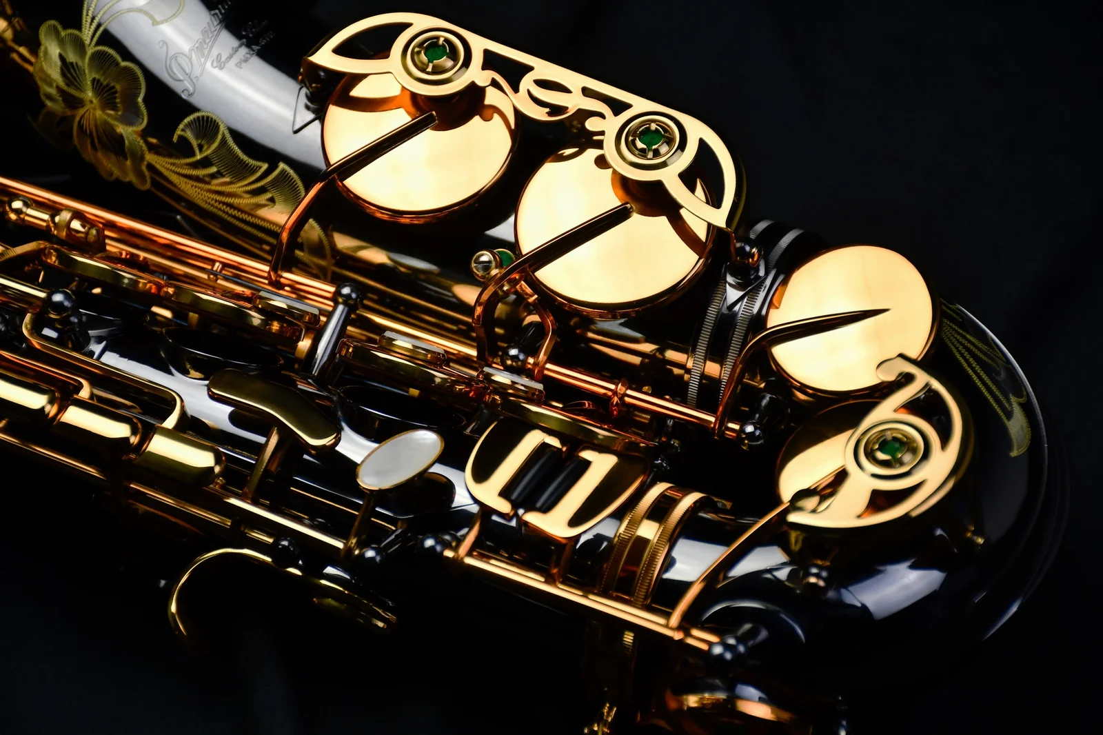  PMXA-67R  Alto Saxophone  view