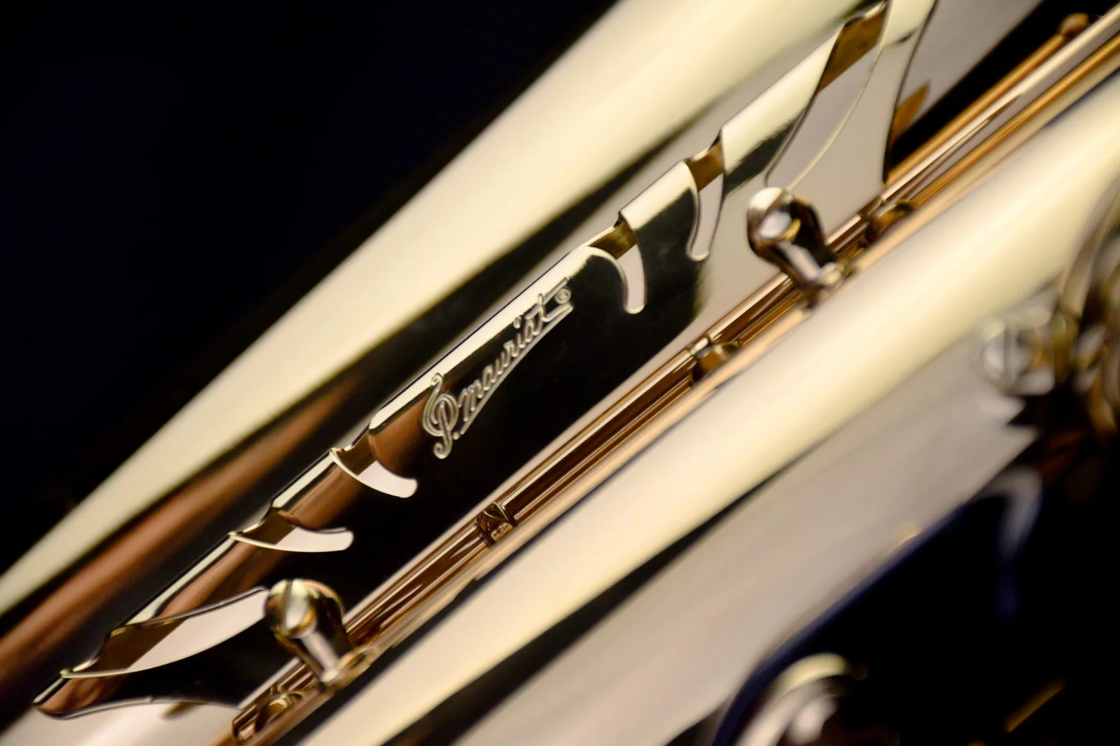 Tenor Saxophone PMST-185 view