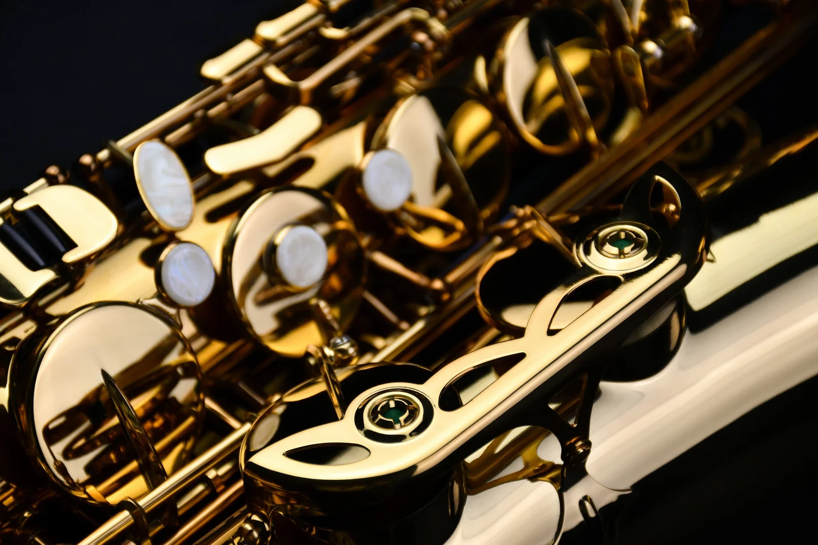 Tenor Saxophone PMST-180 view