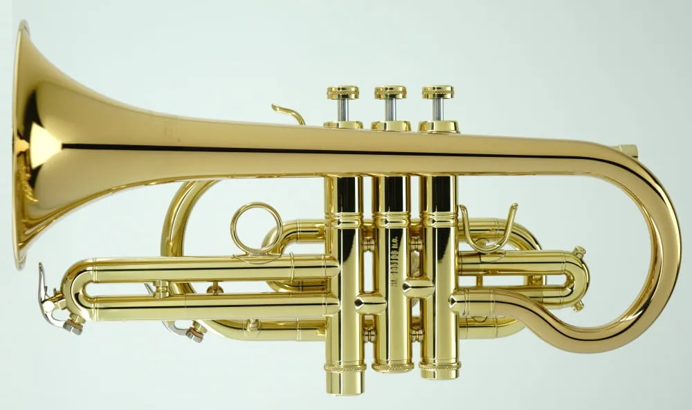 Cornet CCR-3880-GSS-Bb-L view