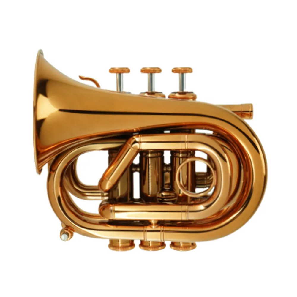 Mini Trumpet CPT-1000-YSS-Bb-RR view