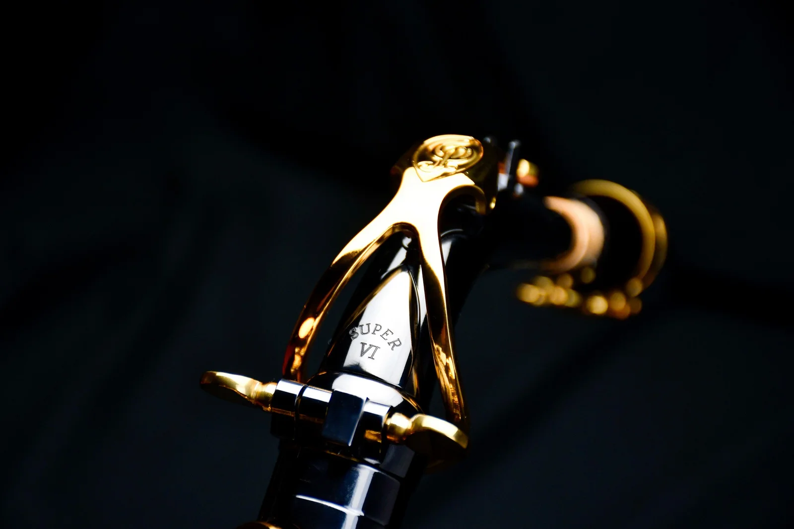PMXA-67RBX 20th Anniversary 2023 Limited Edition Alto Sexophone view
