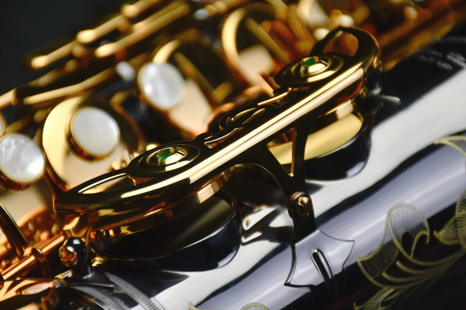  PMXA-67R  Alto Saxophone  view