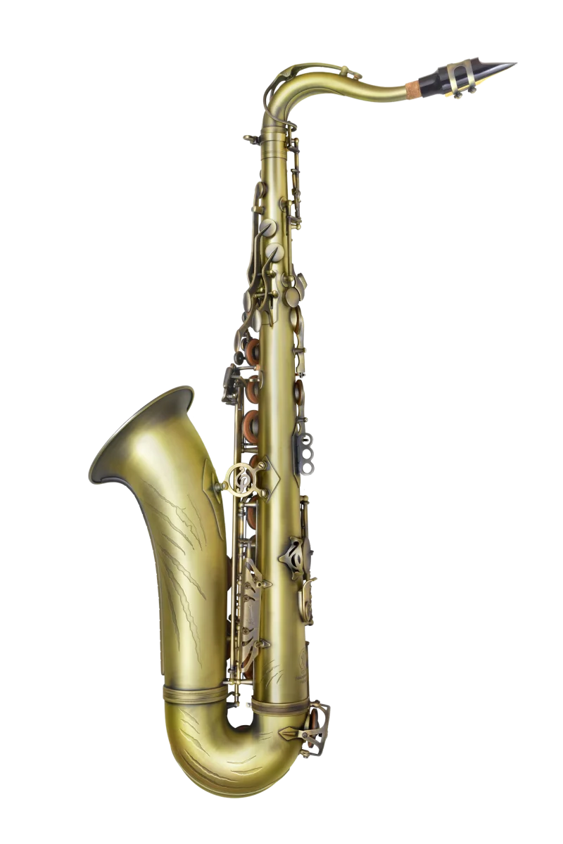 Tenor Saxophone System-76 Derek Brown BEATBoX SAX view