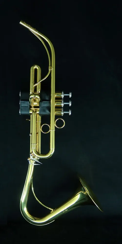 Saxy Trumpet Bb-L view