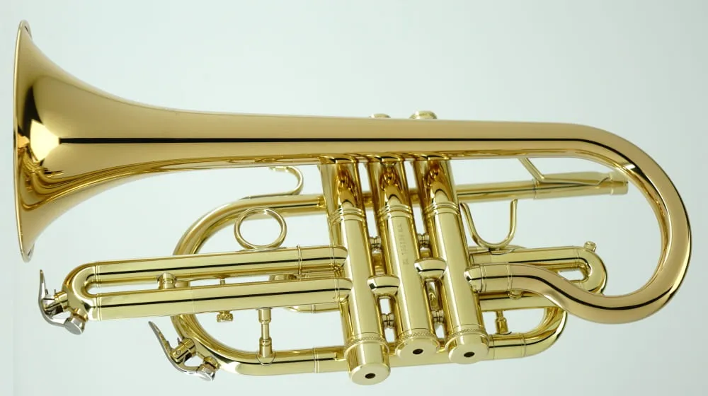 Cornet CCR-3880-GSS-Bb-L view