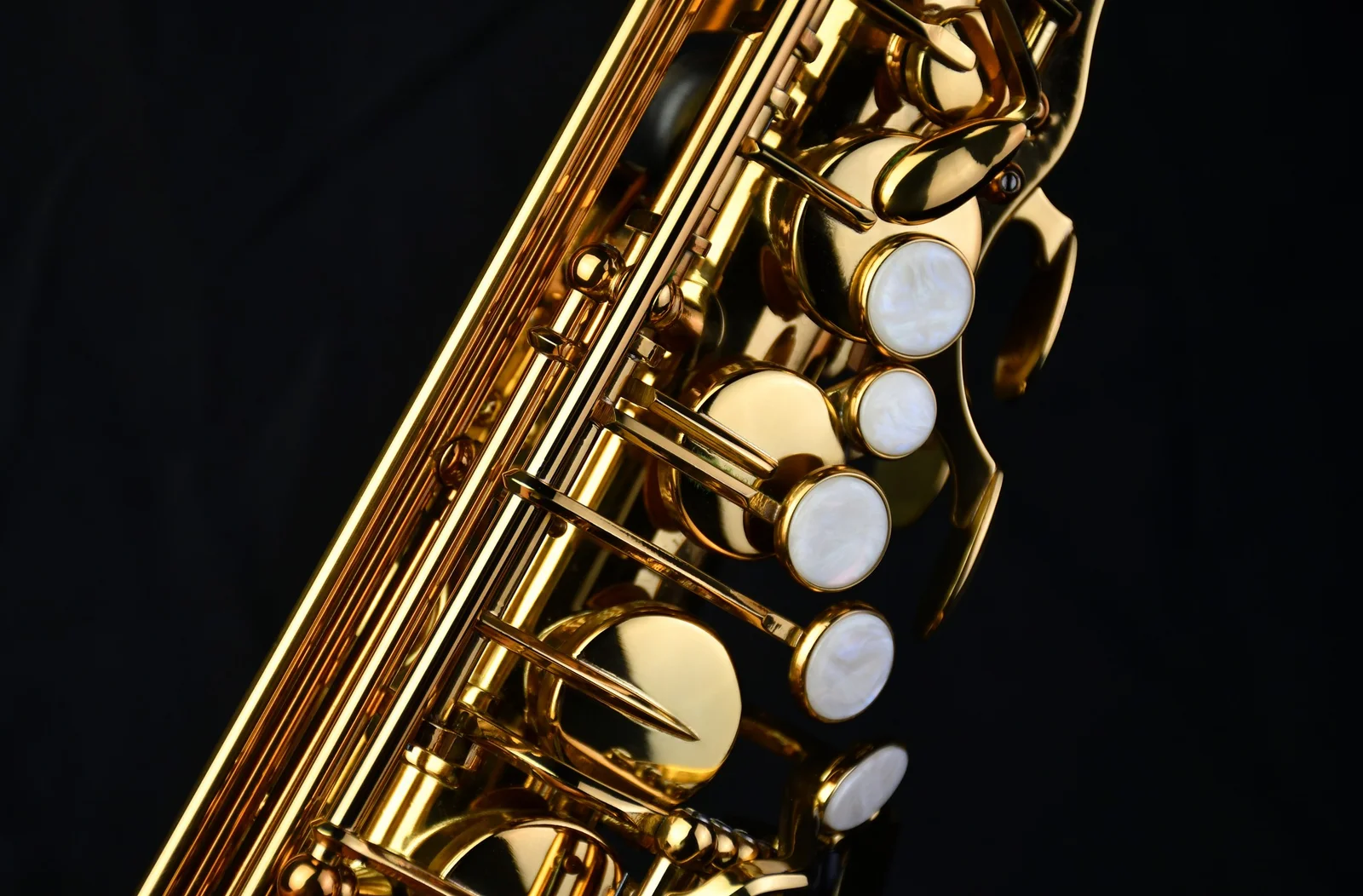 Tenor Saxophone PMST-180 view