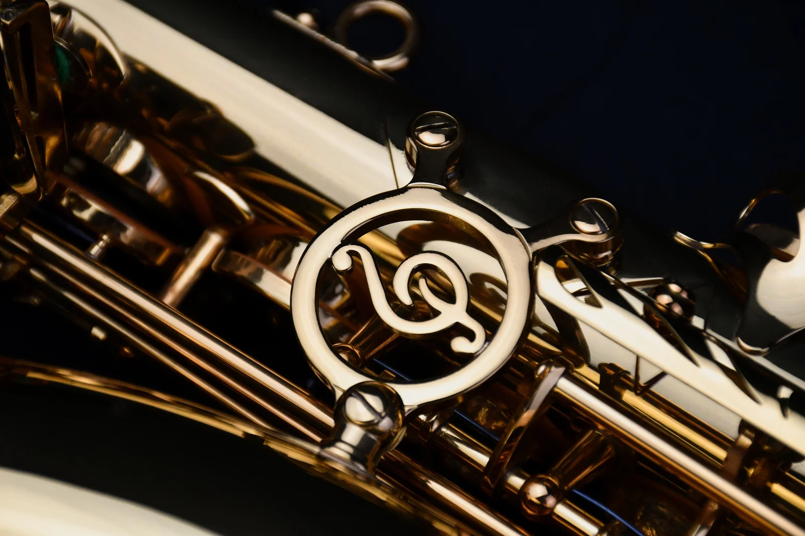 Alto Saxophone PMSA-180 view