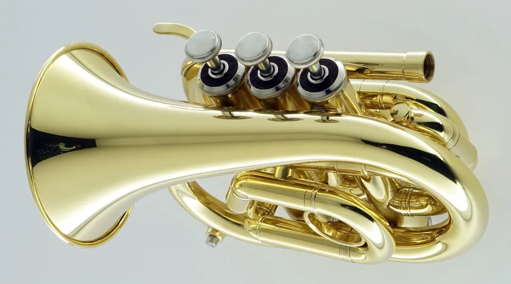 Mini Trumpet CPT-1000-YSS-C-L view
